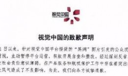 武汉早安最新爆料,揭秘最新热点事件内幕